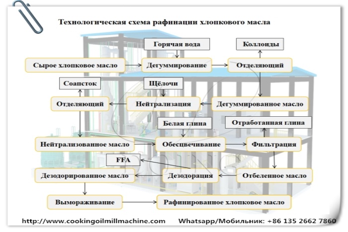 Процесс рафинации хлопкового масла.jpg