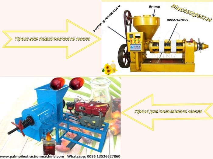 Пресс для подсолнечного масла и пресс для пальмового масла.jpg